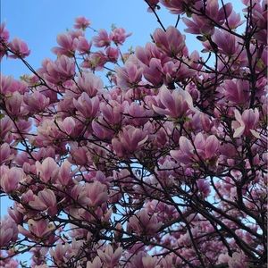 Meet your Posher, Bruno